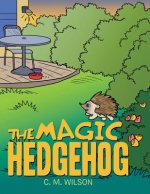 Magic Hedgehog