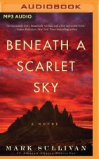 Beneath a Scarlet Sky