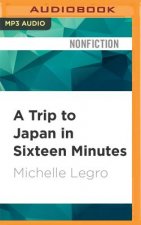 TRIP TO JAPAN IN 16 MINUTES  M