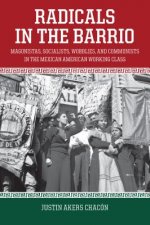 Radicals In The Barrio