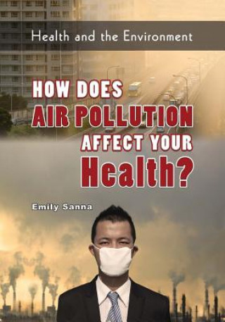 HOW DOES AIR POLLUTION AFFECT