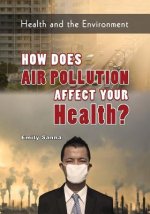 HOW DOES AIR POLLUTION AFFECT