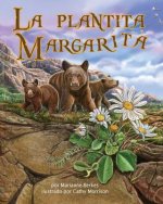 SPA-PLANTITA MARGARITA