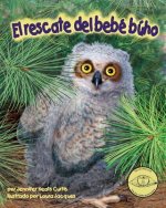 BABY OWLS RESCUE