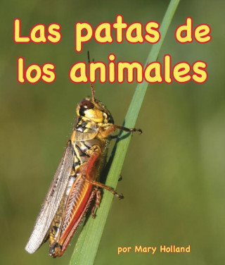 SPA-PATAS DE LOS ANIMALES
