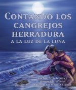Contando Los Cangrejos Herradura a la Luz de la Luna (Moonlight Crab Count)