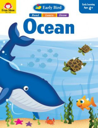 EARLY BIRD OCEAN TEACHER/E