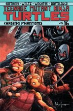 Teenage Mutant Ninja Turtles, Vol. 16