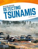 Detecting Diasaters: Detecting Tsunamis
