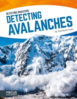 Detecting Diasaters: Detecting Avalanaches