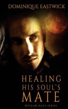 HEALING HIS SOULS MATE