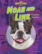 Noah and Link: A Comfort Dog Story