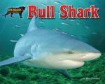 BULL SHARK