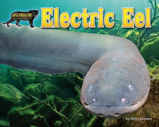ELECTRIC EEL