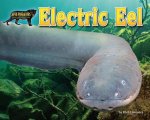 ELECTRIC EEL