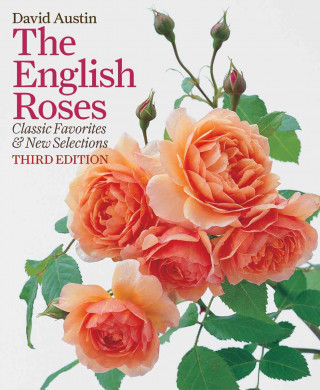 ENGLISH ROSES 3/E