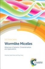 Wormlike Micelles