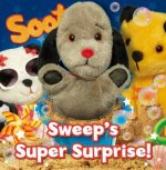 Sweep's Super Surprise