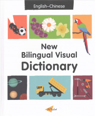 New Bilingual Visual Dictionary English-chinese