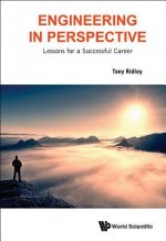 Engineering In Perspective: Lessons For A Successful Career