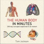 Human Body in Minutes