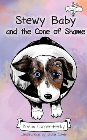 STEWBY BABY & THE CONE OF SHAM