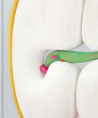 MATTHEW RONAY