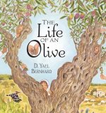 LIFE OF AN OLIVE