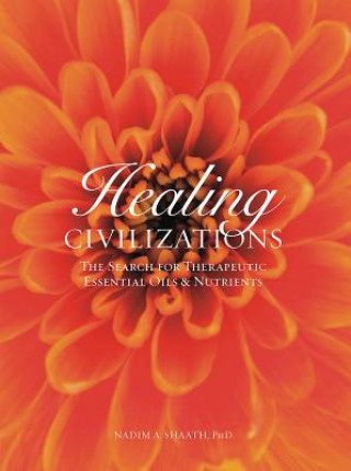 Healing Civilizations