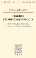 Figures de Phenomenologie: Husserl, Heidegger, Levinas, Henry, Derrida
