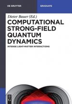 Computational Strong-Field Quantum Dynamics