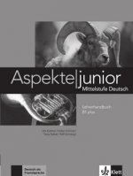 Aspekte junior