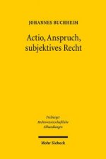 Actio, Anspruch, subjektives Recht