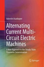 Alternating Current Multi-Circuit Electric Machines