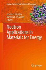 Neutron Applications in Materials for Energy