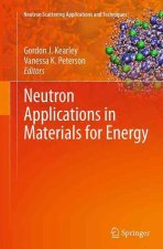 Neutron Applications in Materials for Energy