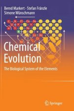 Chemical Evolution
