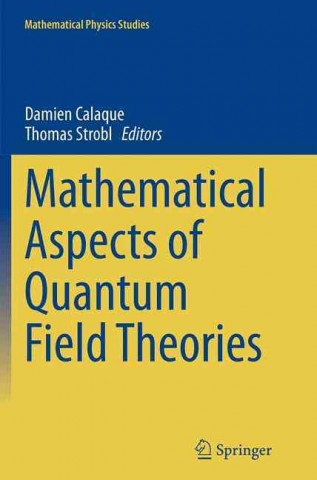 Mathematical Aspects of Quantum Field Theories