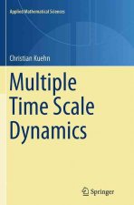 Multiple Time Scale Dynamics