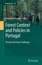 Forest Context and Policies in Portugal