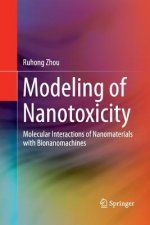 Modeling of Nanotoxicity