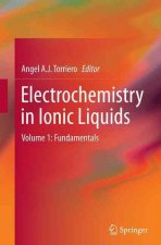 Electrochemistry in Ionic Liquids