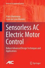 Sensorless AC Electric Motor Control