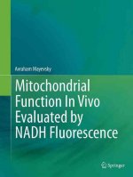 Mitochondrial Function In Vivo Evaluated by NADH Fluorescence