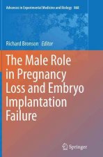 Male Role in Pregnancy Loss and Embryo Implantation Failure