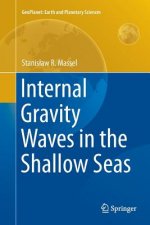 Internal Gravity Waves in the Shallow Seas