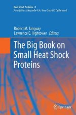 Big Book on Small Heat Shock Proteins