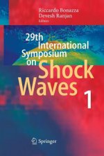 29th International Symposium  on Shock Waves 1