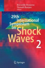 29th International Symposium  on Shock Waves 2