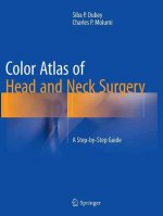 Color Atlas of Head and Neck Surgery